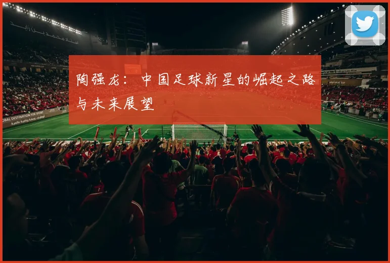 陶强龙：中国足球新星的崛起之路与未来展望